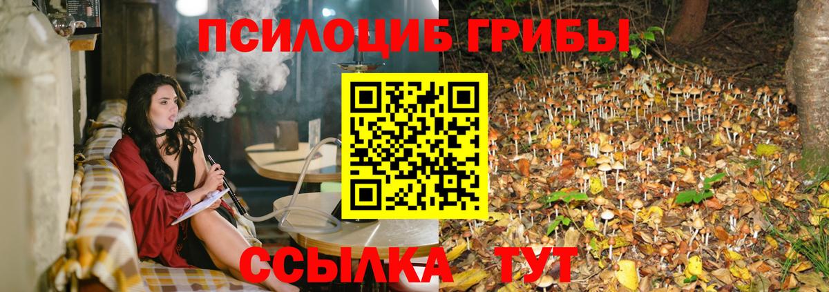 Галлюциногенные грибы Psilocybine cubensis  Вход с VPN  Псилоцибиновые грибы Cubensis  Орск 